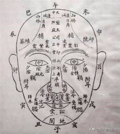 75部位流年表|七十五部位流年圖及名稱